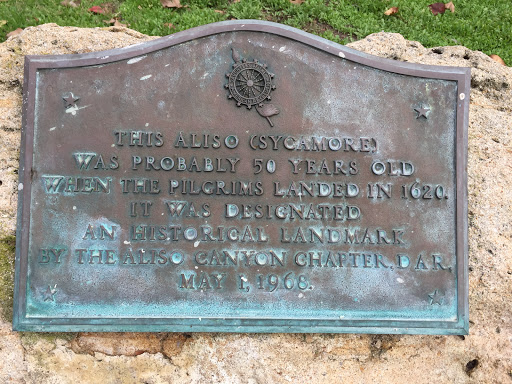   THIS ALISO (SYCAMORE) WAS PROBABLY 50 YEARS OLD WHEN THE PILGRIMS LANDED IN 1620 IT WAS DESIGNATED AN HISTORICAL LANDMARK BY THE ALISO CANYON CHAPTER DAR MAY 1, 1968 A plaque commemorating a...