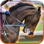 3D Horse Simulator Apk