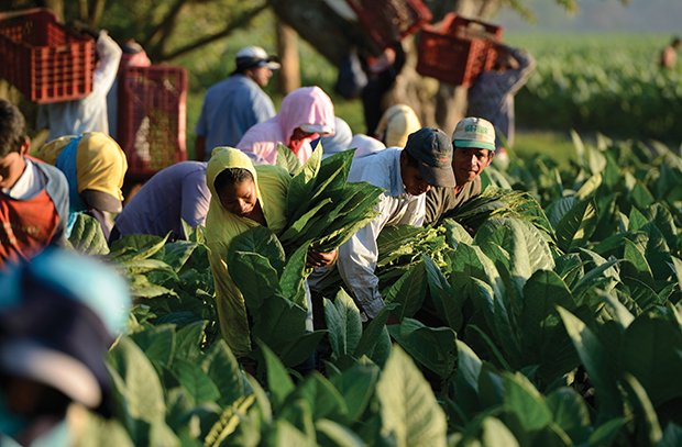 A tobacco growing region in Nicaragua.
