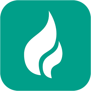 DiskGasOnline.apk 1.4.7