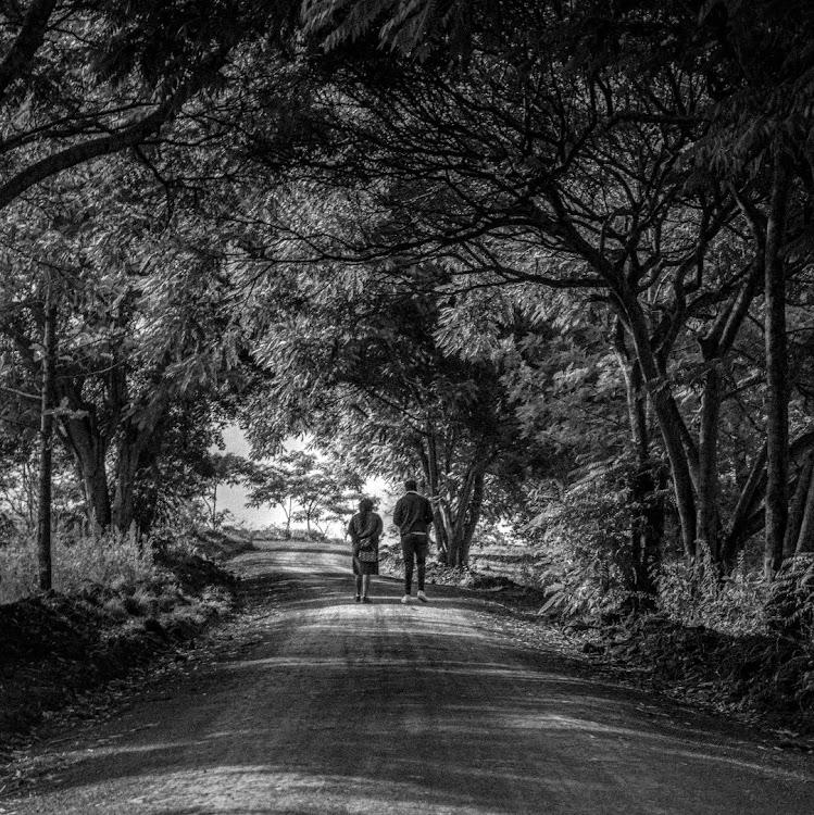 A picture titled '' l o v e d o n e s'' by Ted Waira. This black and white picture showcases a couple walking in the forest canopy.