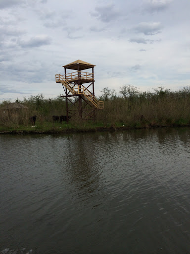 Tree Tower