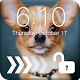 Download I Love Chihuahua PIN Lock For PC Windows and Mac 1.0