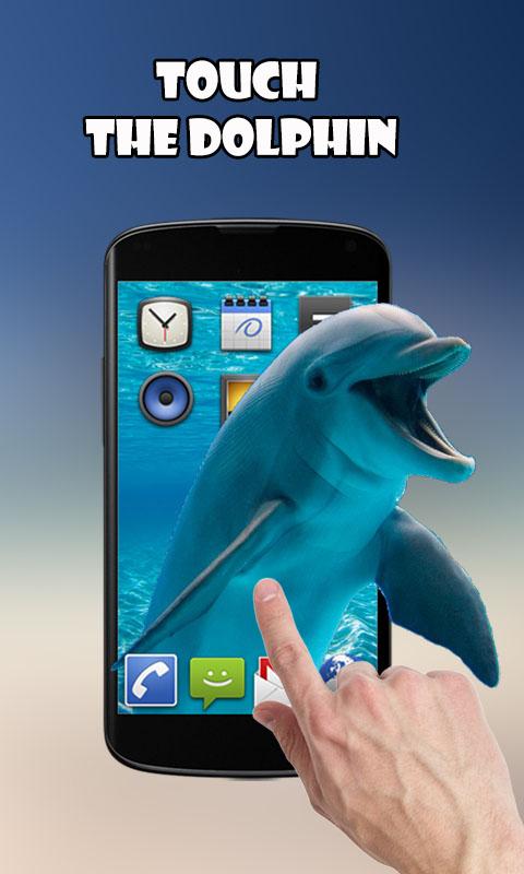 Android application Dolphins Live Wallpaper screenshort
