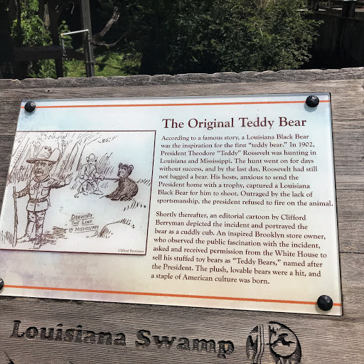 According to a famous story, a Louisiana Black Bear was the inspiration for the first “teddy bear.” In 1902, President Theodore “Teddy” Roosevelt was hunting in Louisiana and Mississippi. The hunt...