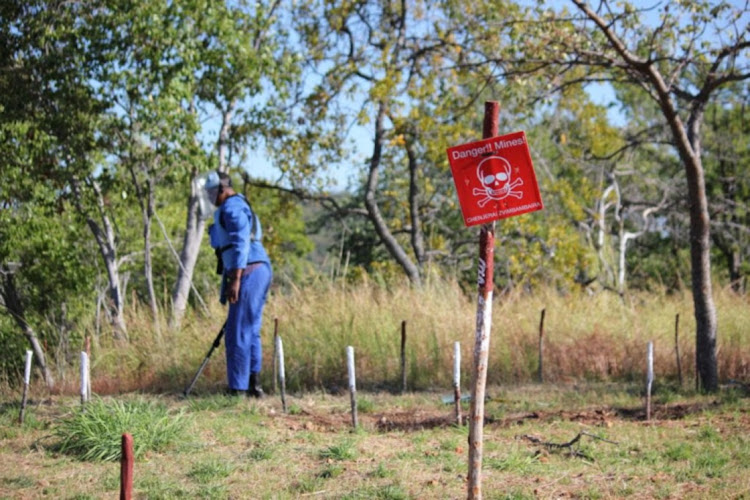 Zimbabwe gained its independence in 1980 but the anti-personal mines have continued to cause havoc in the four decades since the Liberation War.