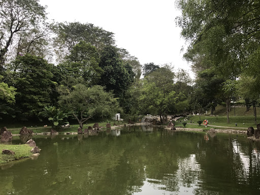 Tranquil Dragon Pond 