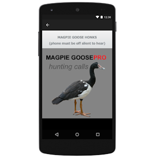 How to download Magpie Goose Calls for Hunting 1.0 unlimited apk for android