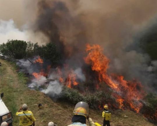 Outeniqua Fire remains active in the Waboomskraal area and on slopes of Outeniqua Mountain above Witfontein Plantation.