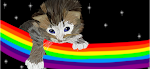 Rainbows and Kittens and Sparkles