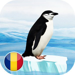 Download Pinguini For PC Windows and Mac