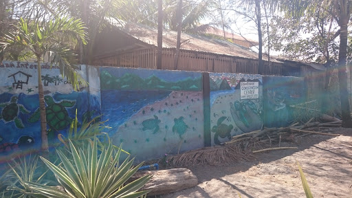 Pawikan Conservation Center Mural