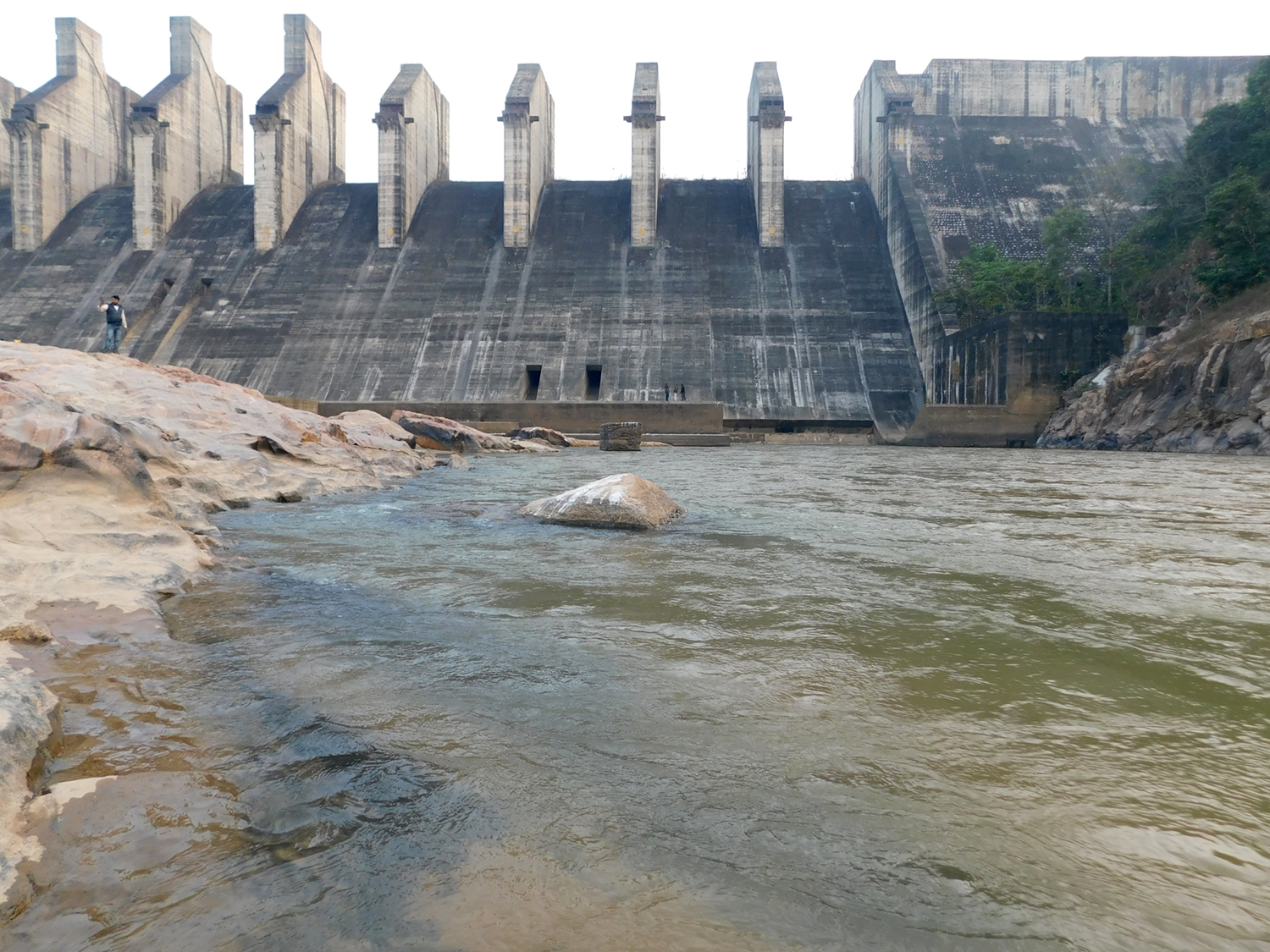 How Jharkhand’s Mandal dam could destroy the environment, livelihoods, and 3.4 lakh trees