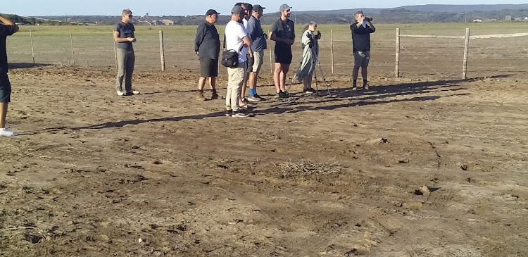 A group of media at Voëlvlei south of Mossel Bay, birding. It doesn’t look very exciting, but hosts a myriad of bird species.