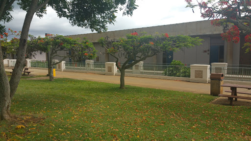 Hawaiian Leaf Mural