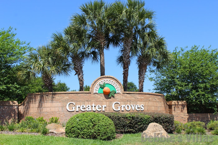 Greater Groves community, close to Disney World, range of private villas to rent