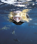 NOT AFRAID: Ella Addison of KwaZulu-Natal snorkels with sharks Picture: ALLEN WALKER