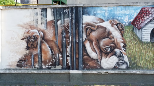 Dogs on the Wall