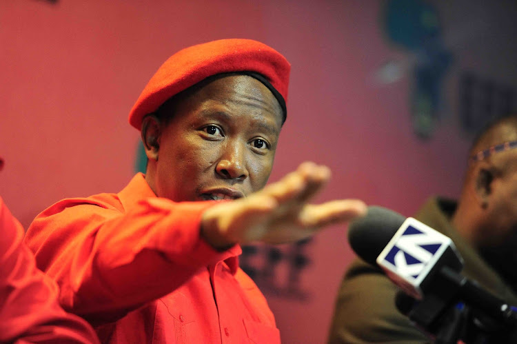 Julius Malema has made big promises about life under an EFF government. File photo.