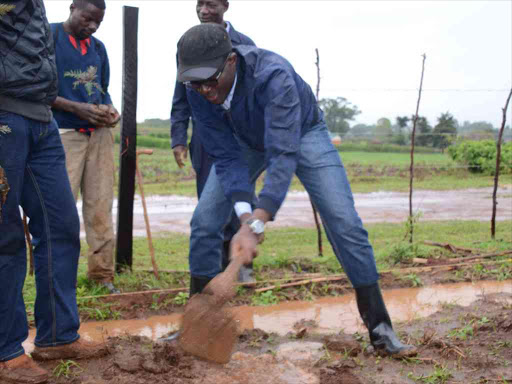 IEBC CEO Ezra Chiloba plants trees at his farm at Mutua village in Kwanza constituency, Trans Nzoia county, April 20, 2018. /CORAZON WAFULA