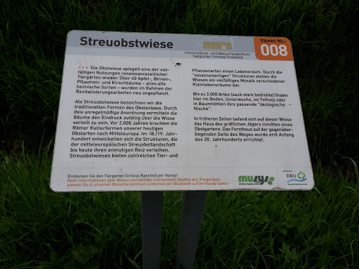 Streuobstwiese