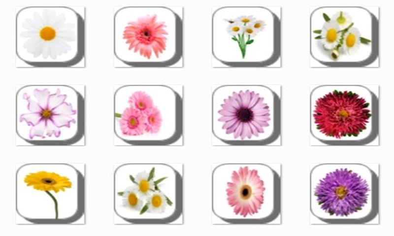 Android application New Daisy Flowers Onet Game screenshort