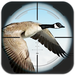 Flying Bird Hunting Apk