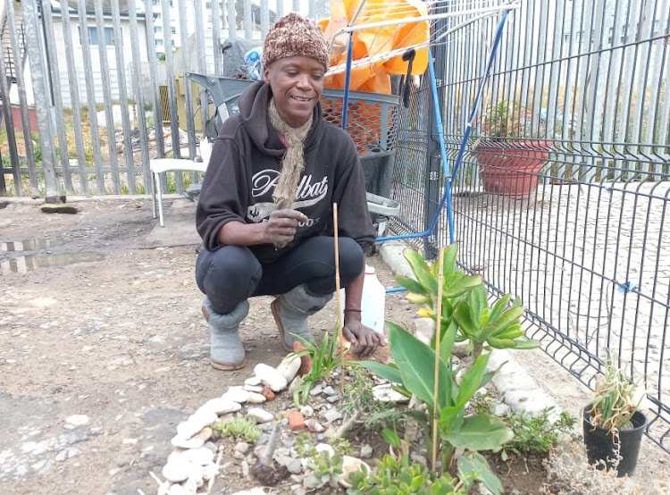 Nonhlanhla Mncube with the small garden she cultivates near her tarpaulin shack in Sea Point, Cape Town, on November 1 2021.