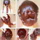 Download The Idea of Hair Style For PC Windows and Mac 1.0