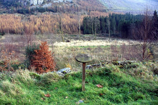 The plaque reads as follows: These trees were planted by children from Dolwyddelan School and The Forestry Commission on 31 March 2003 as part of The National Assembly for Wales's Woodlands for...