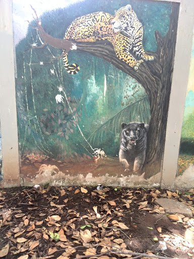 Mural Pantera Y Tigre