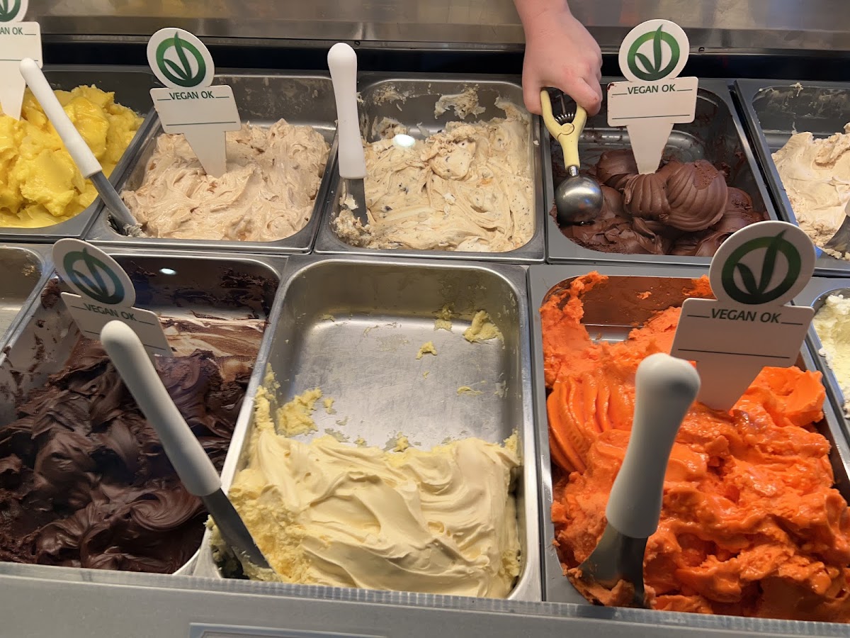 Gluten-Free Gelato at Gorgeous Gelato