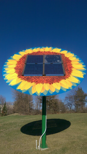 Solar Powered Sunflower