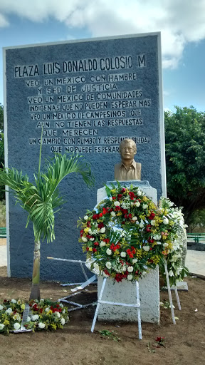 Luis Maldonado Colosio