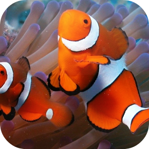 Download Fun Fish Puzzle For PC Windows and Mac