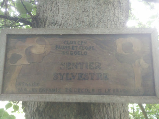 Sentier Sylvestre