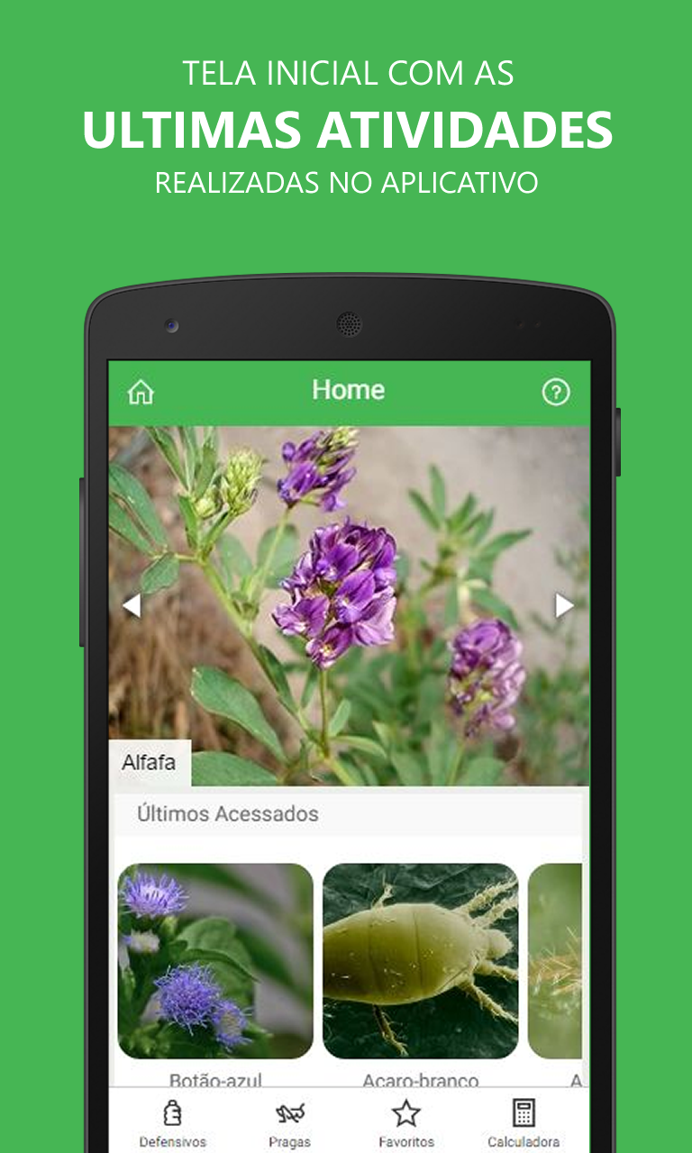 Android application Pests Pepino screenshort