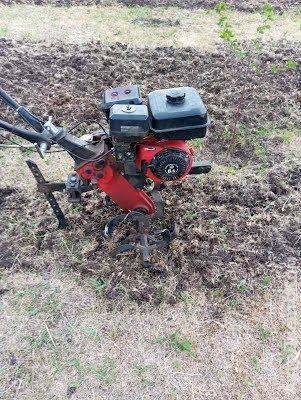 продам мото ПМР Yamaha Cygnus 125 SI фото 3