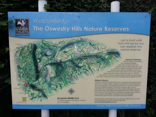 Oswestry Hills Nature Reserve