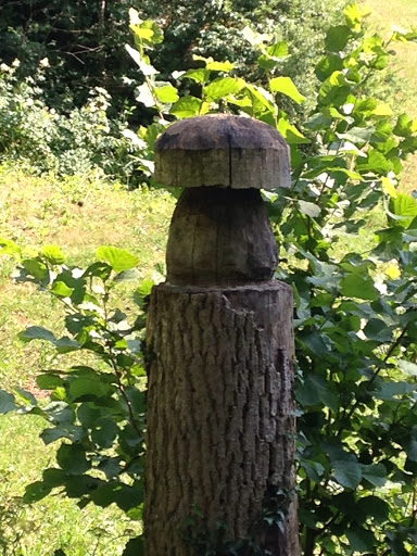 Wooden Mushroom Monument