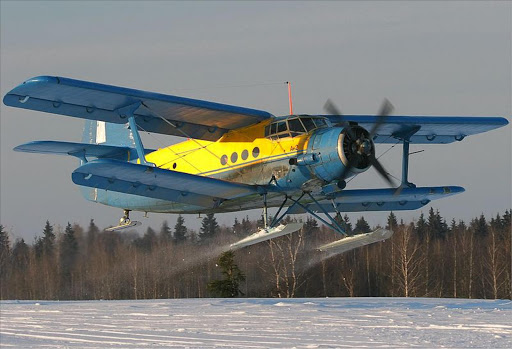 An Antonov AN-2 biplane. File photo