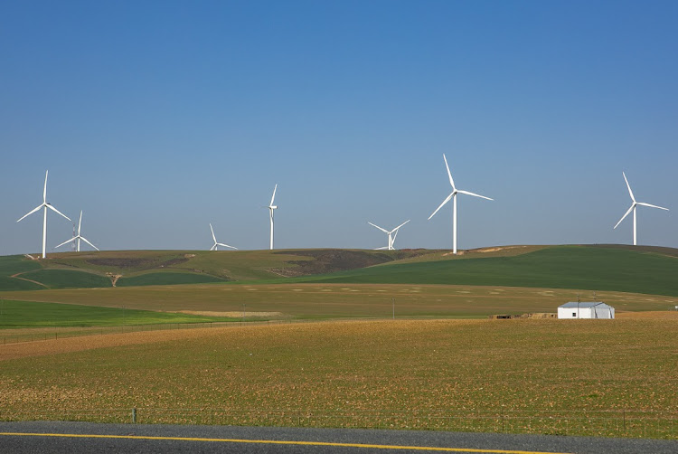 A wind farm in Caledon. Picture: JACQUES STANDER/GALLO IMAGES