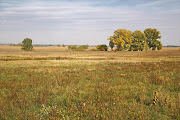 A skeleton was found in a field off the R103 in Mkondeni‚ KwaZulu Natal on Wednesday afternoon‚ paramedics said.