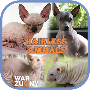 Download Hairless Animal For PC Windows and Mac