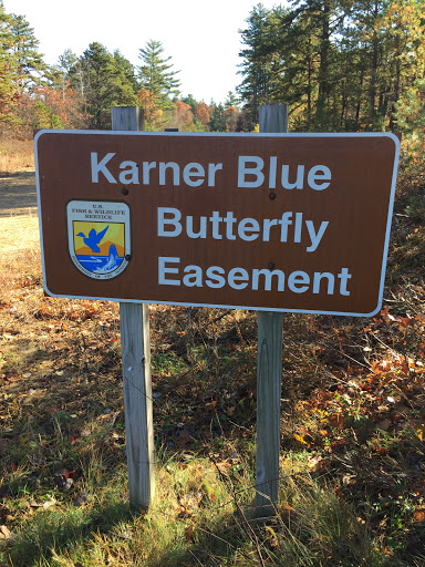 Karner Blue Butterfly Easement