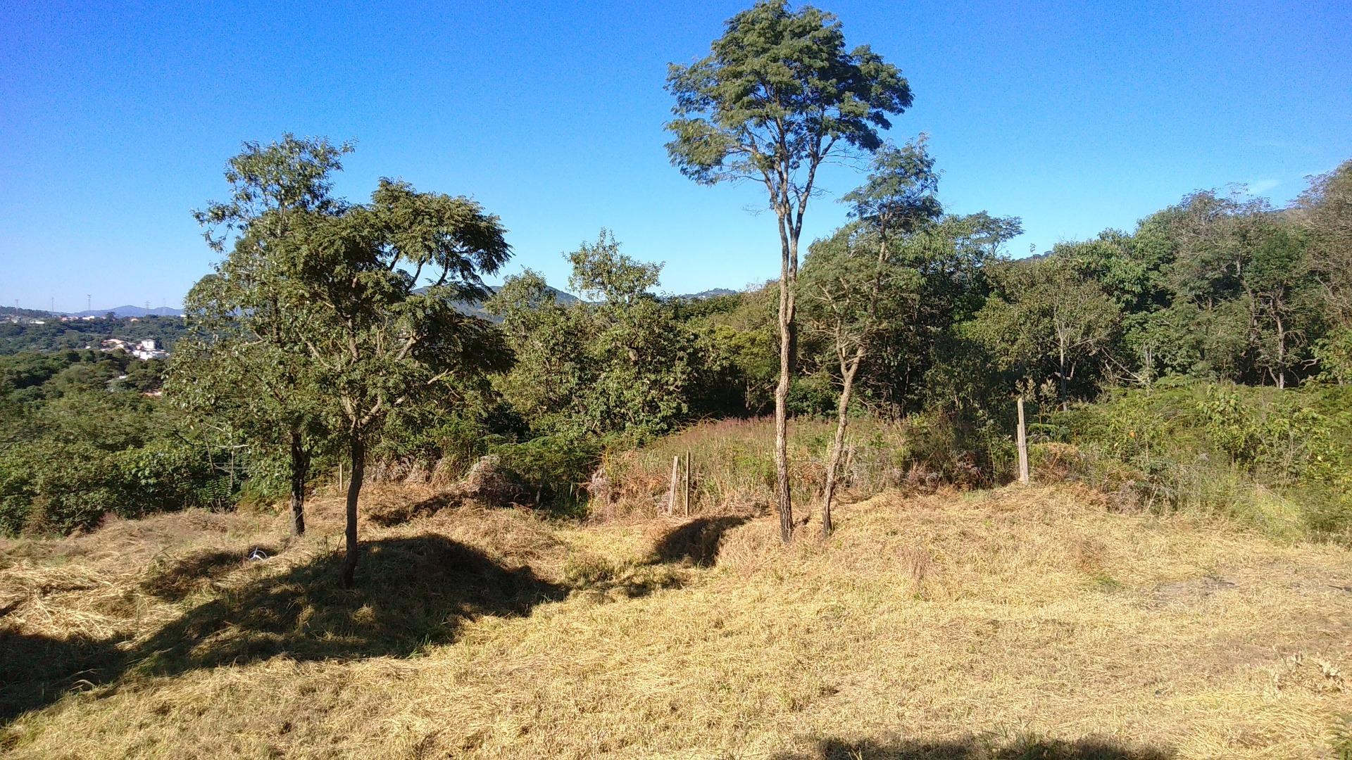 Terreno à venda, 27240 m² por R$ 1.900.000,00 - Jardim São Gonçalo - Mairiporã/SP