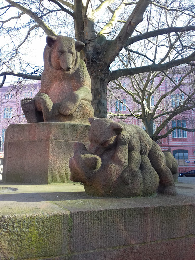 Bears