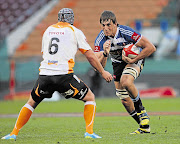 Eben Etzebeth will make a welcome return from a knee injury when the Stormers take on the Blues in Albany on Friday