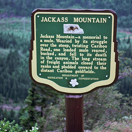 Jackass Mountain - a memorial to a mule. Wearied by its struggle over the steep, twisting Cariboo Road, one loaded mule reared, bucked, and fell to its death in the canyon. The long stream of...