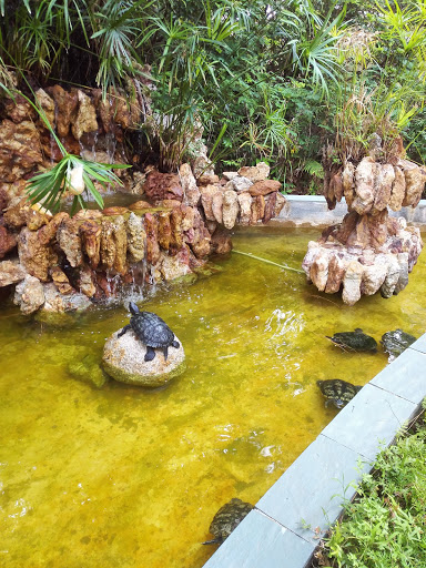 假山龜池
